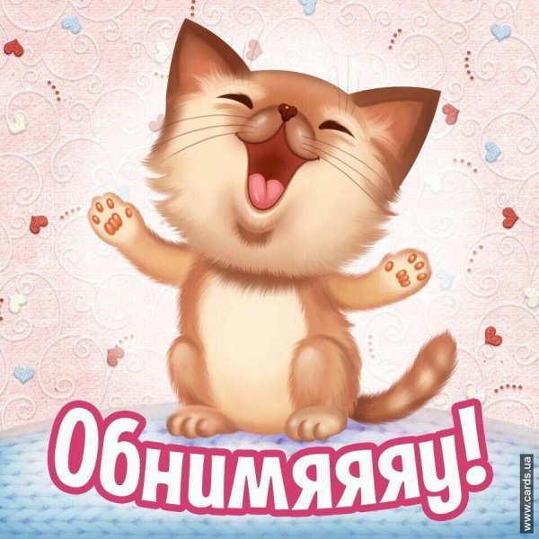 котики открытка