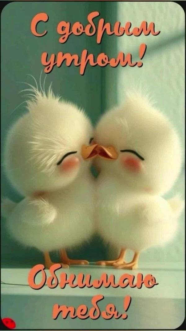 добра утра