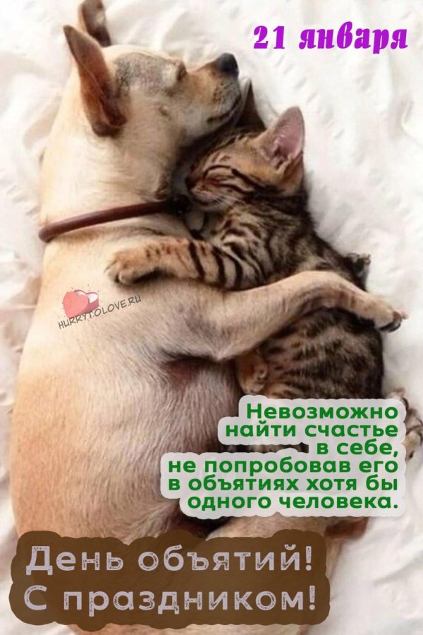 день любви к питомцу 20 февраля