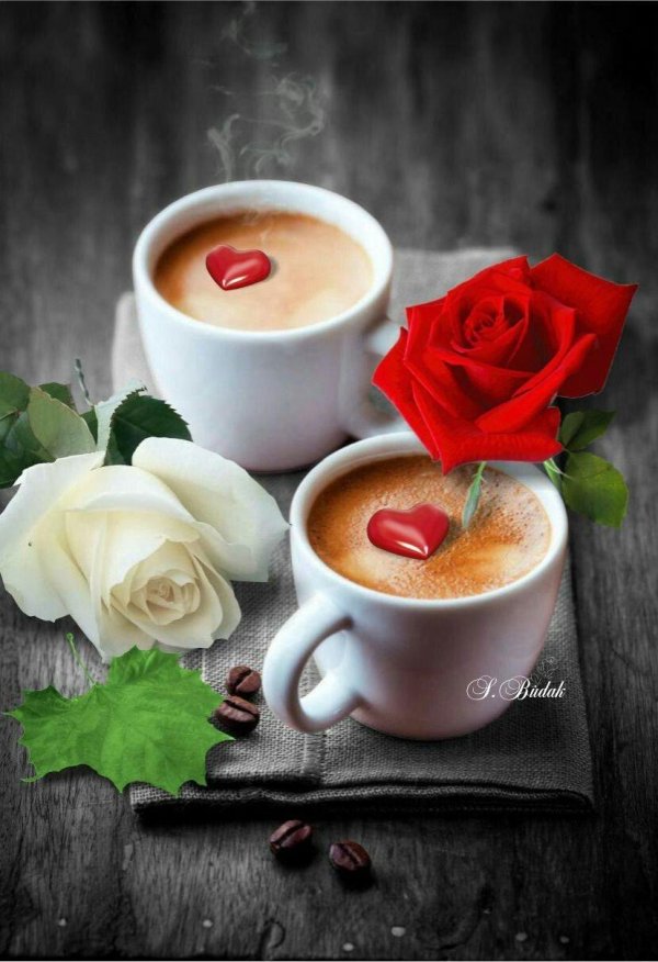 Доброе утро пары