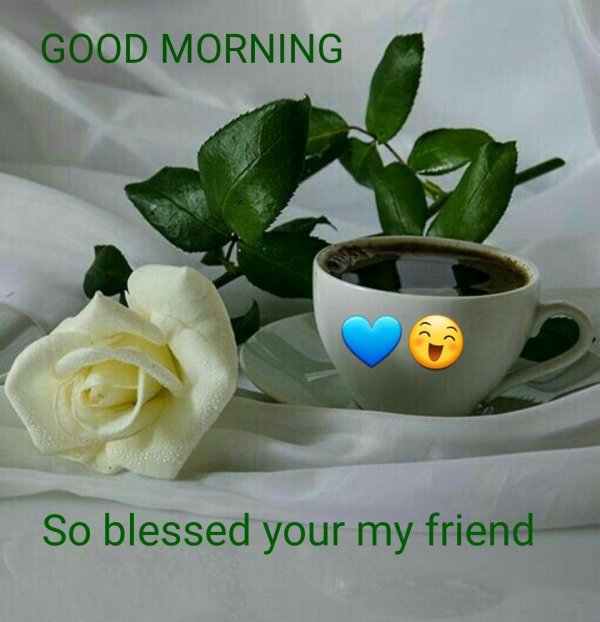 белые розы доброе утро