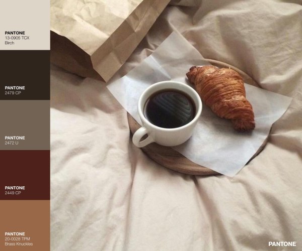 оттенки капучино палитра