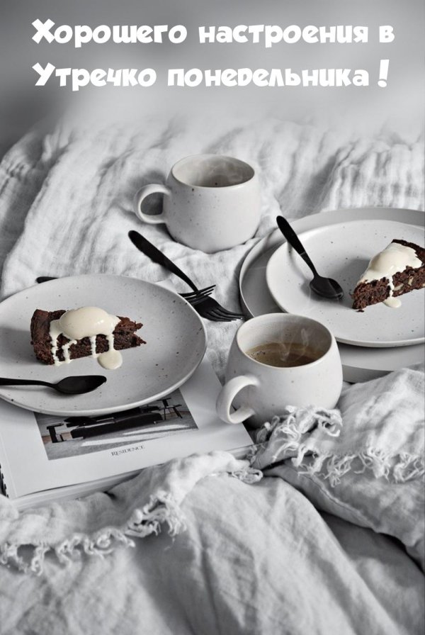 шоколадный пирог