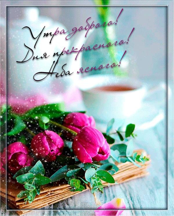 утренние цветы