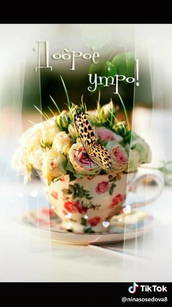 утра доброго