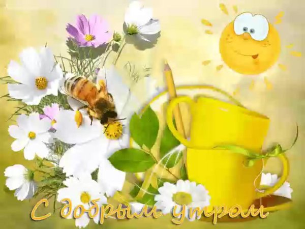 доброго солнечного утра
