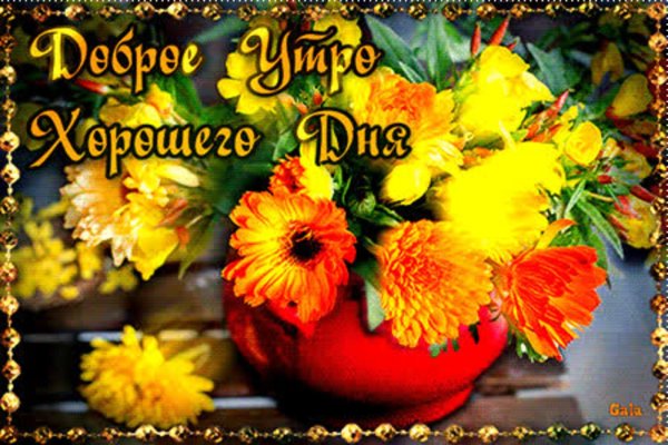 осенние цветы с добрым утром