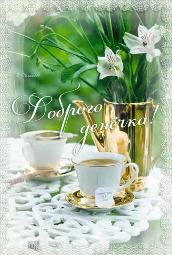 чудесного утра и прекрасного дня