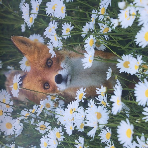 геннадий юсин фотограф