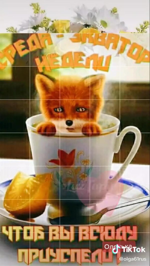 доброе утро лис