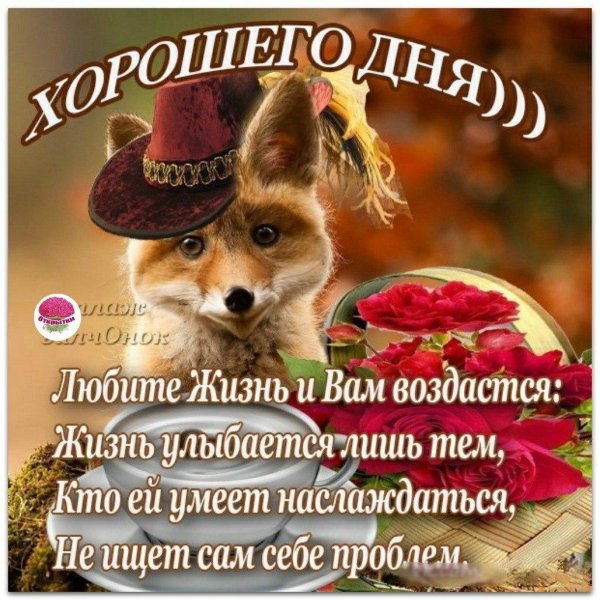 Доброе утро лиса