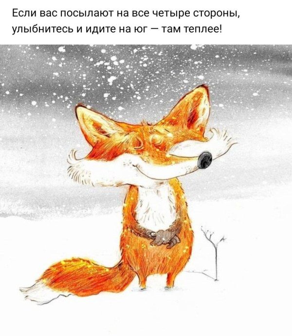 веселые высказывания