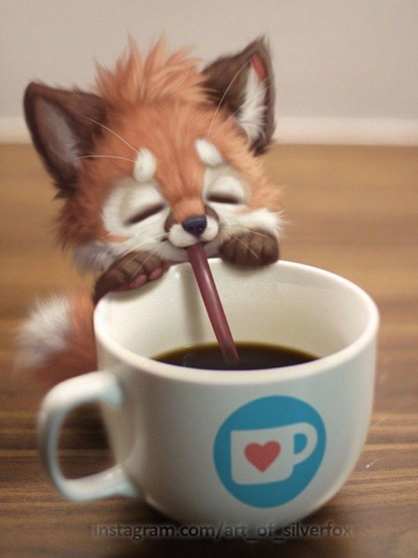 лиса на кружке