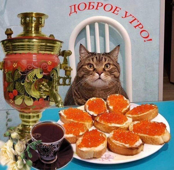 тульский самовар чаепитие