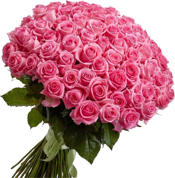 розовые розы