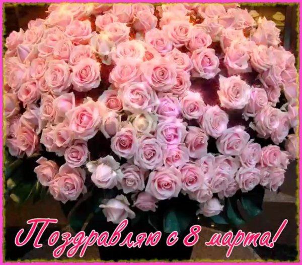 цветок открытка