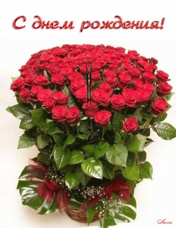 с днем рождения красивые розы
