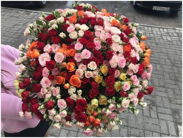 роза кустовая микс25шт