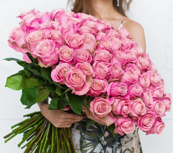 хермоза роза