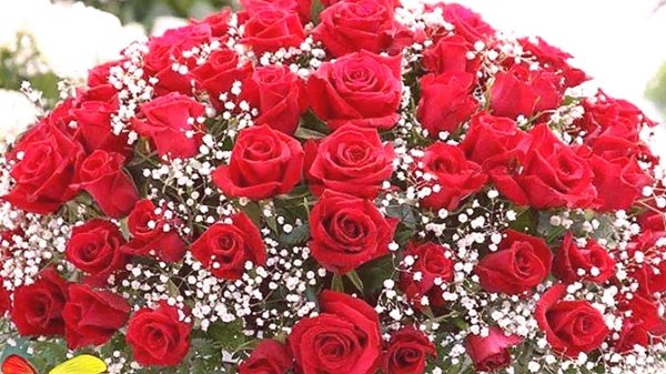 красивая букет