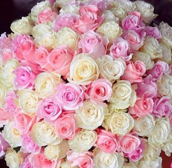 огромные букеты цветов