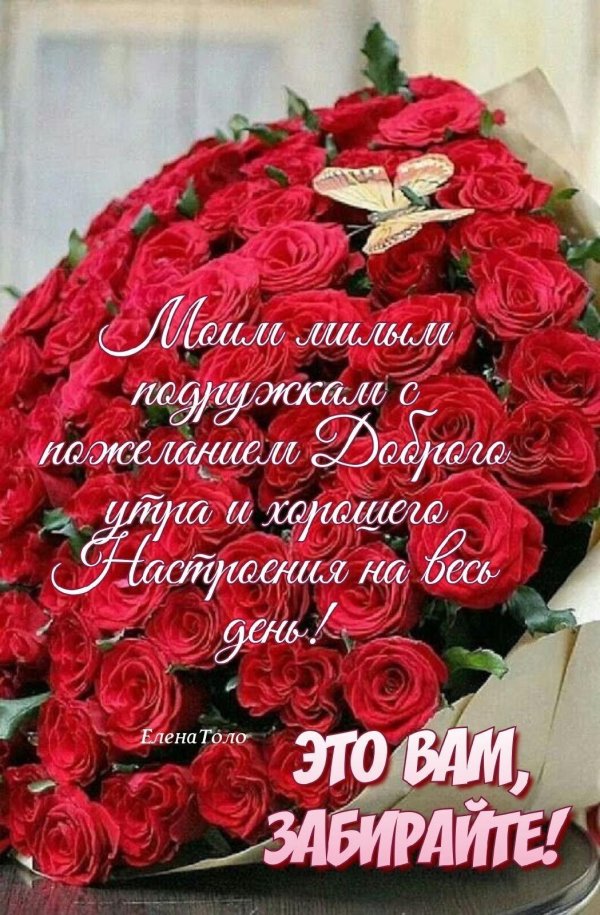 поздравление красивое