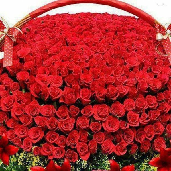 огромные букеты