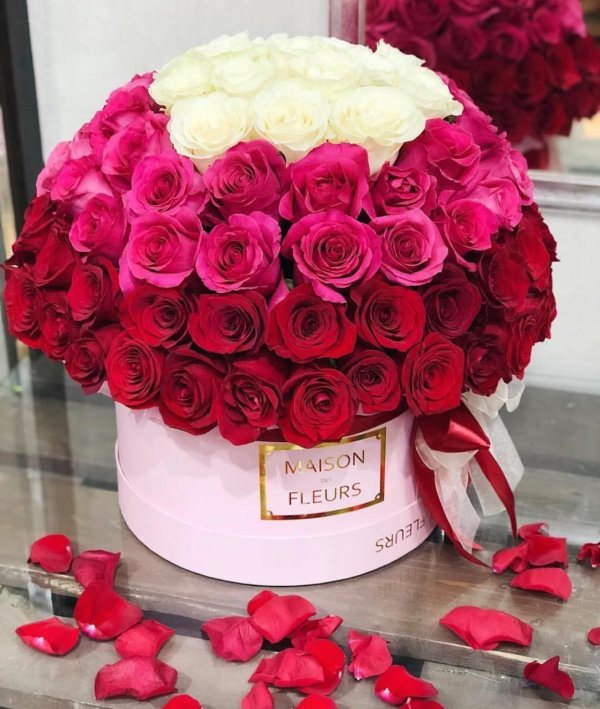 maison des fleurs цветы