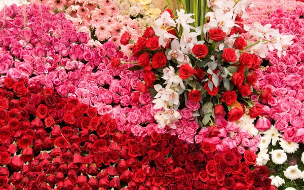 огромные букеты