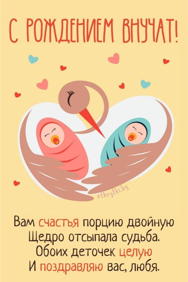 с рождением сыночков двойняшек