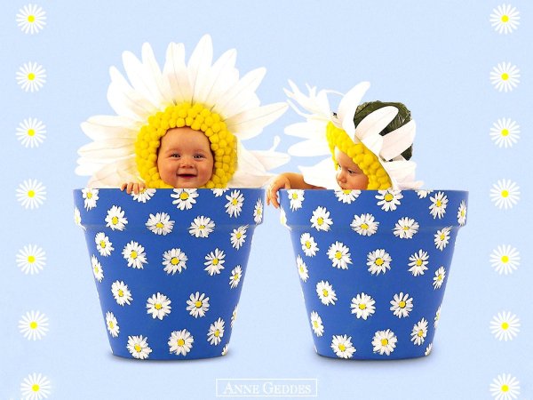 с рождением двойни