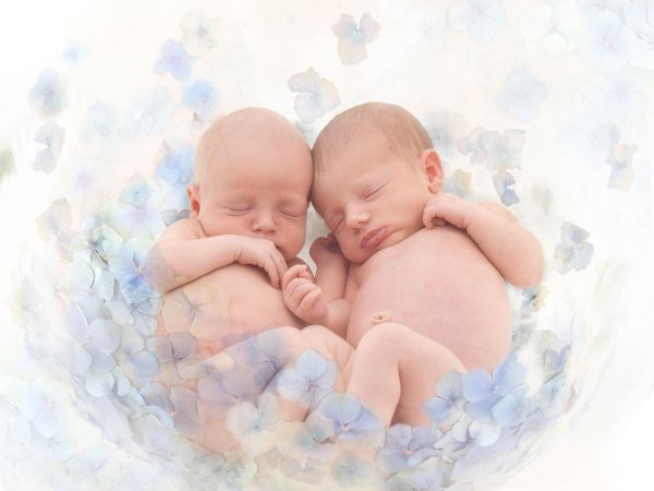 новорожденные близнецы