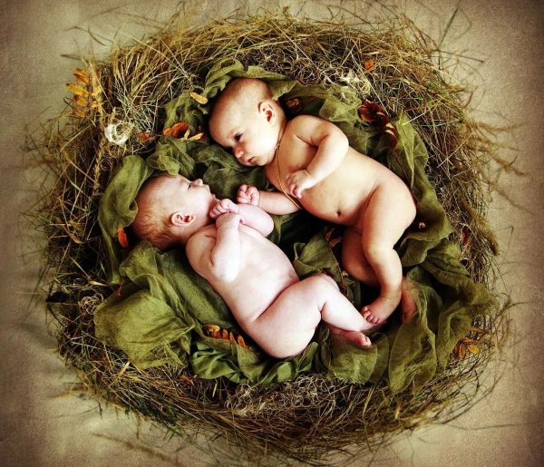 новорожденные близнецы