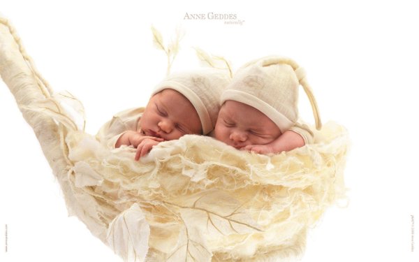 фотограф младенцев анна геддес