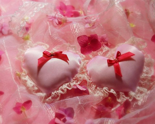 нежное сердце