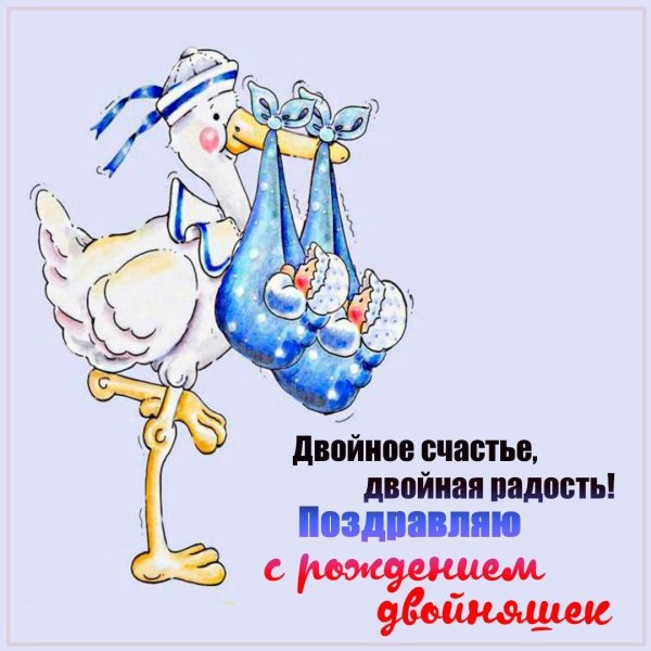 с рождением сыночков двойняшек
