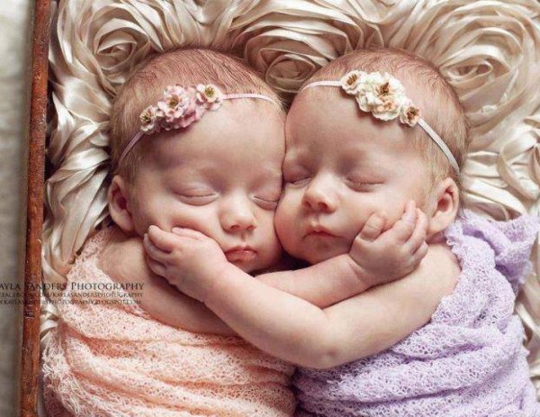 близнецы младенцы