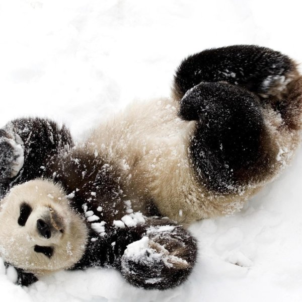 первый день зимы