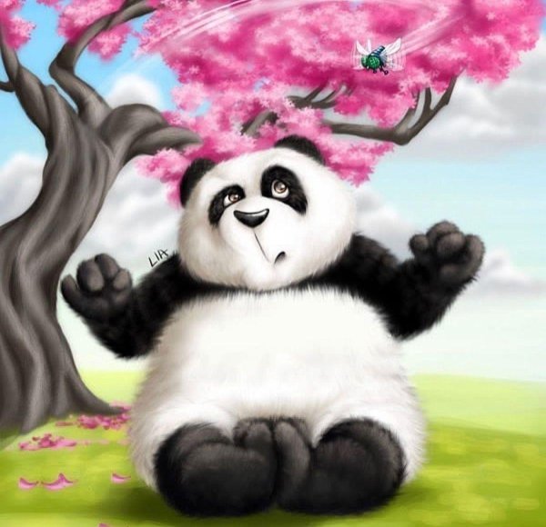 доброе утро с пандой