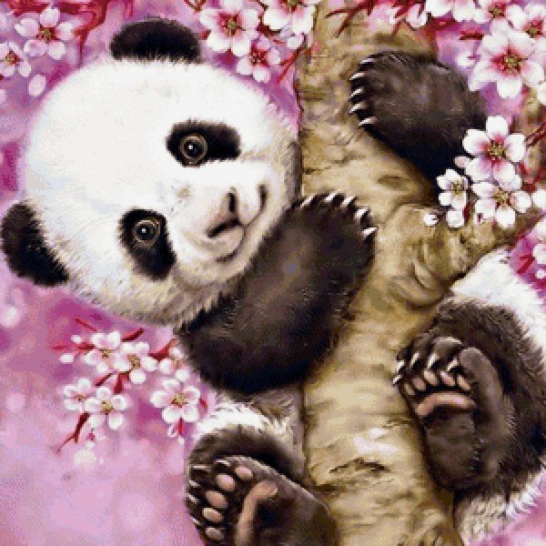 алмазная живопись панды 40x50