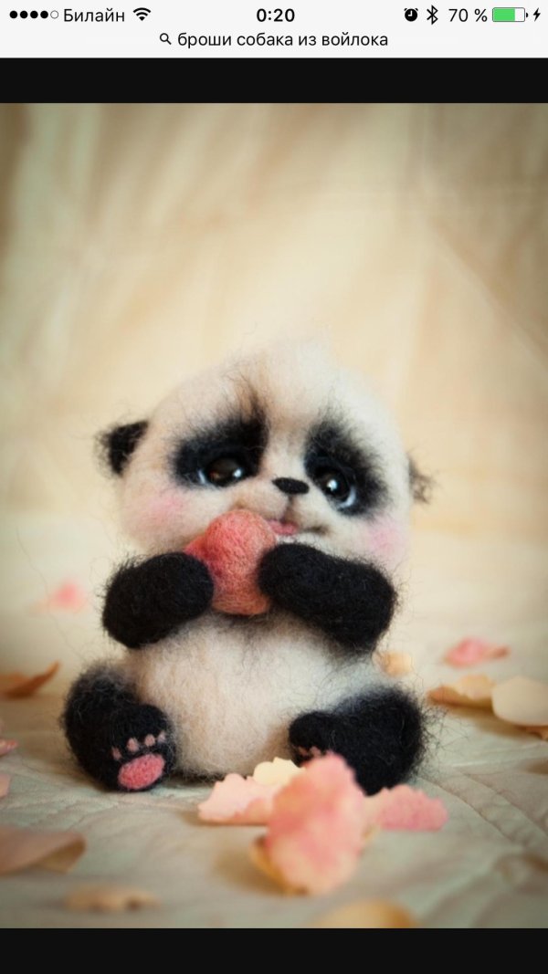 милые пандочки