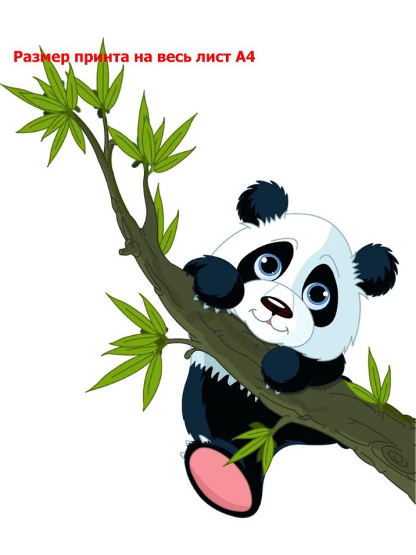 панда на ветке