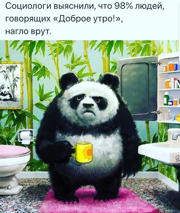 доброе утро с пандой