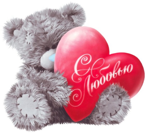 мишка тедди