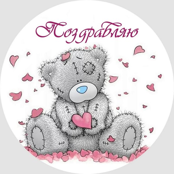 медвежонок тедди