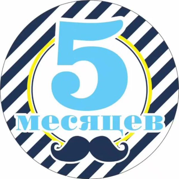 пять месяцев