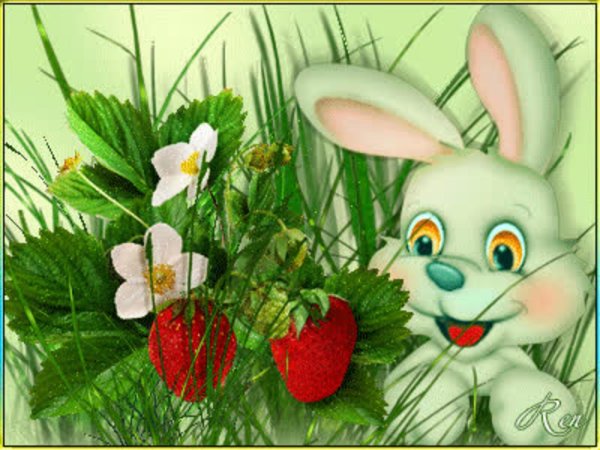 с добрым утром зайчонок