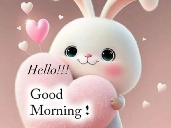 милая зайка