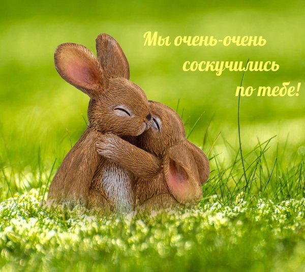 два кролика