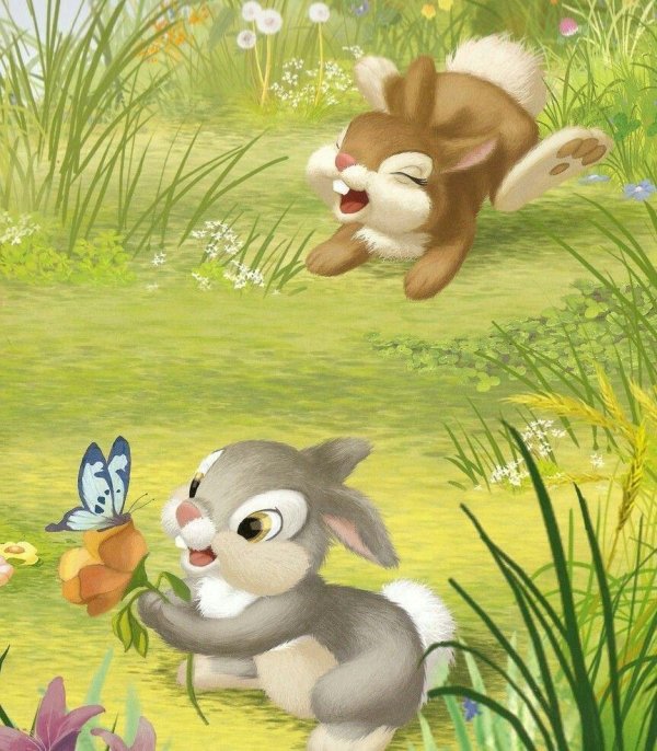 зайчиха и зайчата